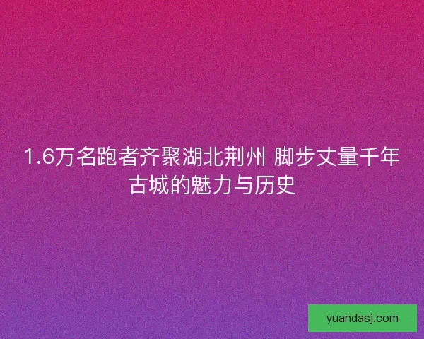 1.6万名跑者齐聚湖北荆州 脚步丈量千年古城的魅力与历史